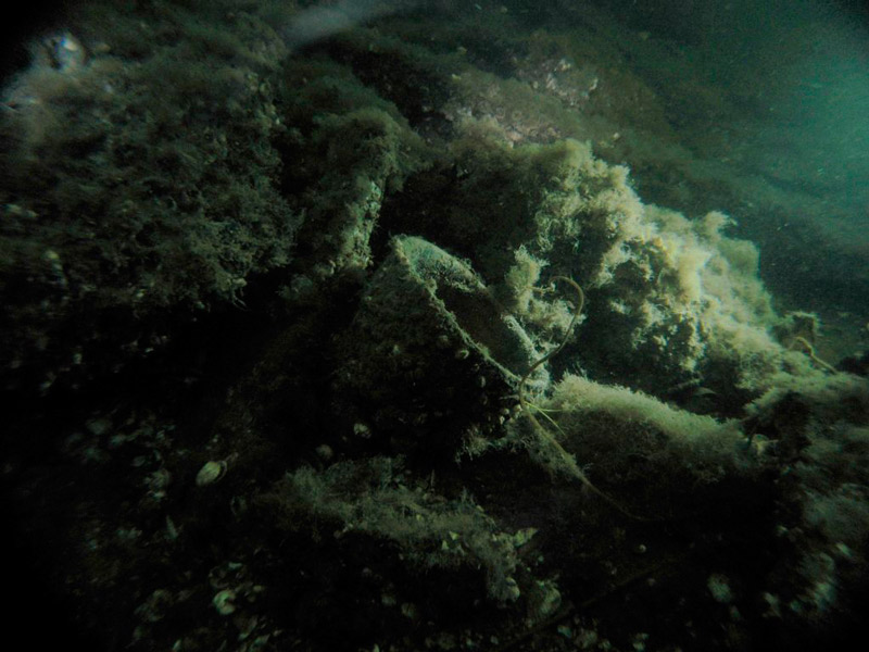 Salmisaaren Jollaksen puoleiselta pohjalta löytyi suuri määrä saviruukkuja. 